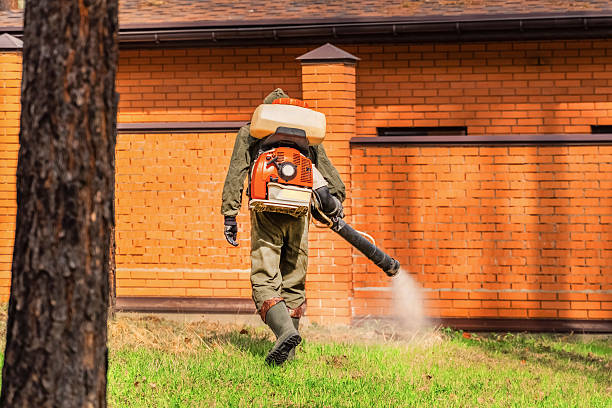 Trusted Emergency Pest Control service in St. Bonaventure, NY - Nex Pest Control